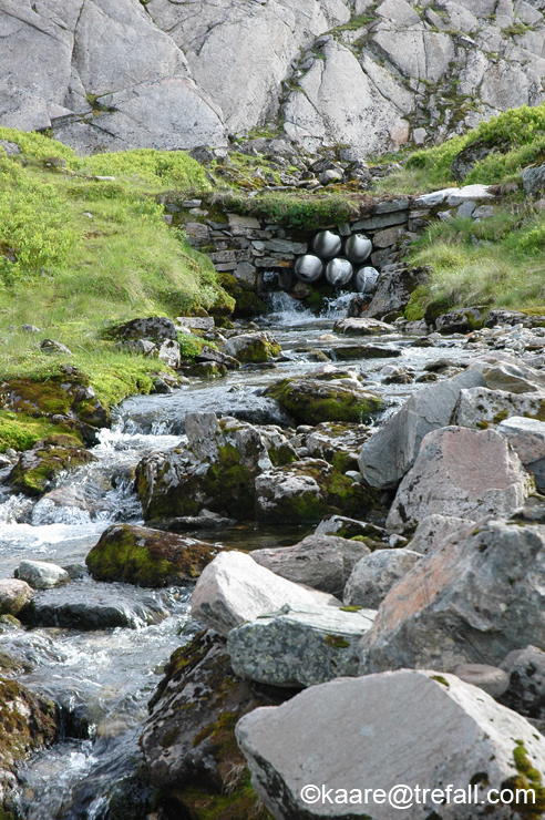 DSC_0116
