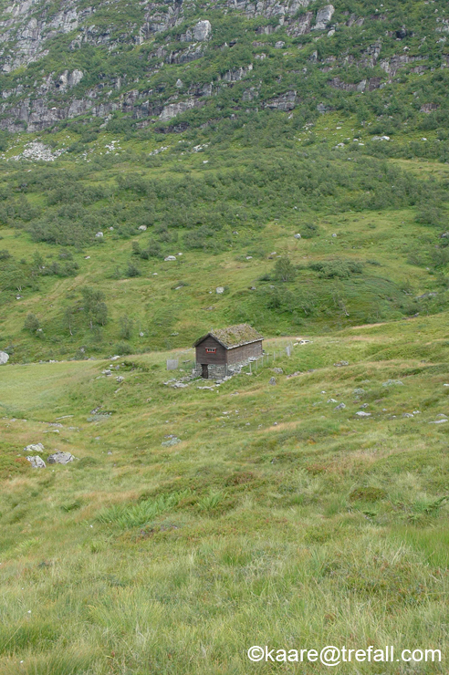 DSC_4103