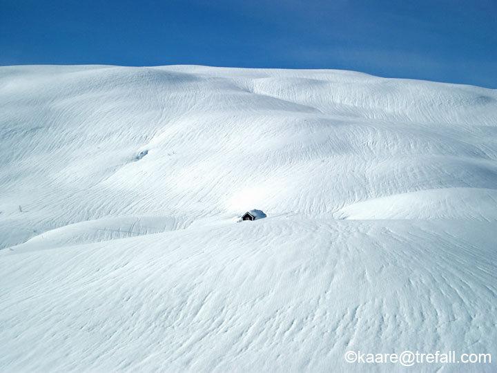IMGP6468M